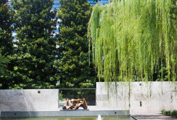 Nasher Sculpture Center