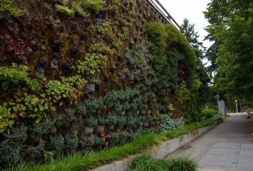 The Living Wall