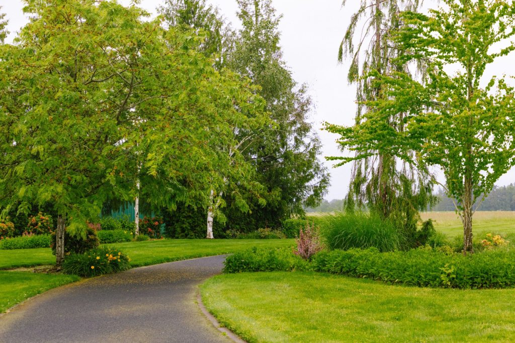 Willamette-Valley-Medical-Center_Commercial-Landscape