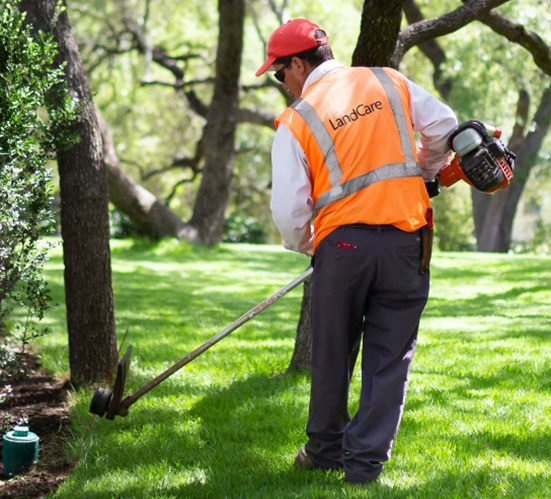 Landscape Management