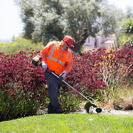 landscape-management